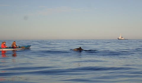 Kaskazi Kayak Sea Point